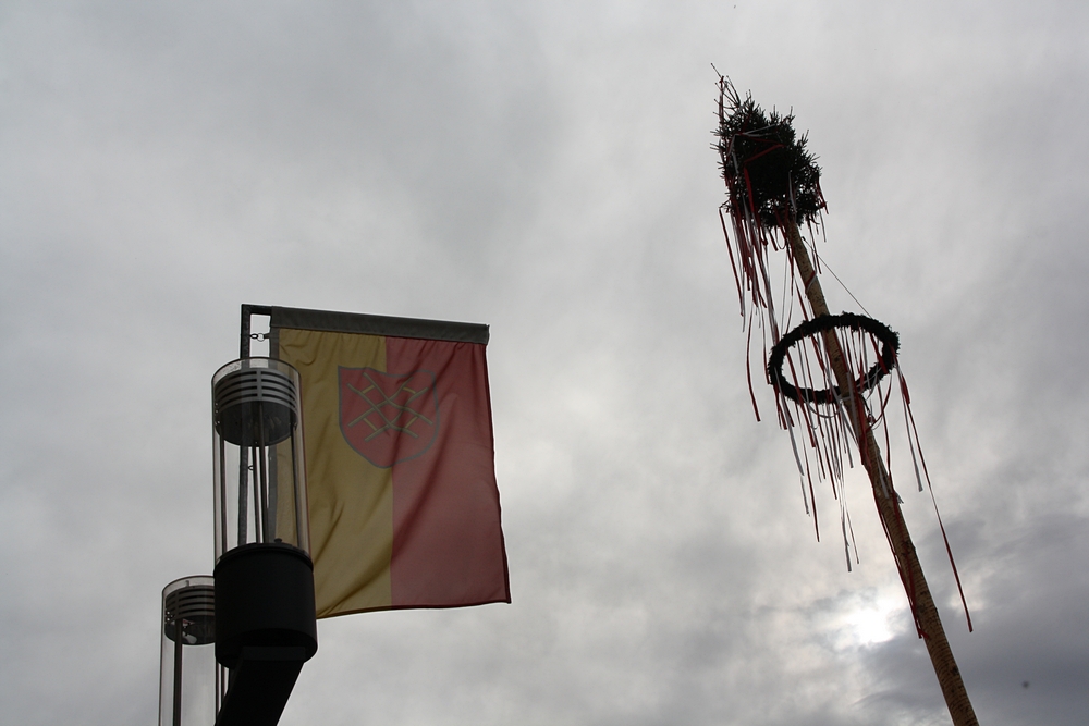 Maibaum Weingarten