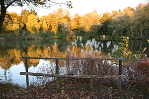 Kreuzbergweiher im Herbst