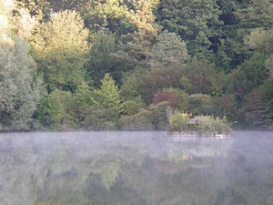 Kreuzbergweiher mit Frhnebel